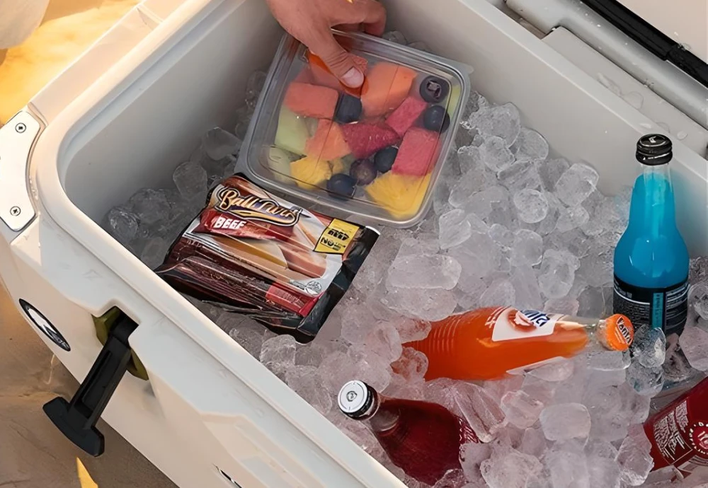 outdoor food cooler