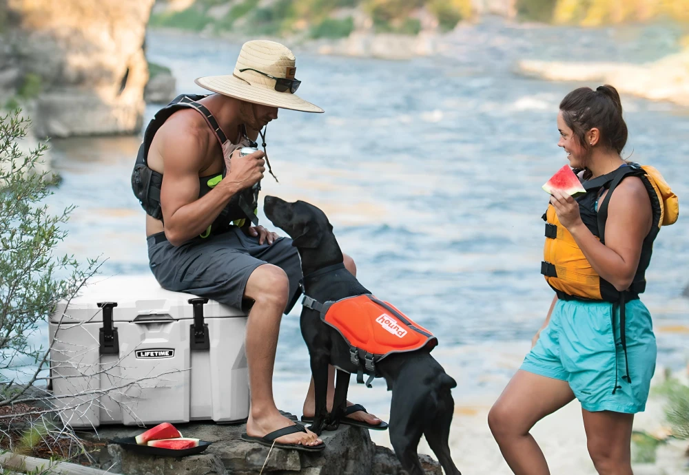 cooler box portable